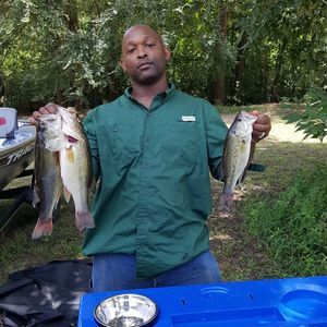 Meet your Posher, Steele